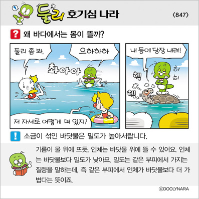 �Ѹ�ȣ��ɳ���