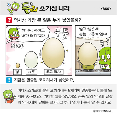 �Ѹ�ȣ��ɳ���