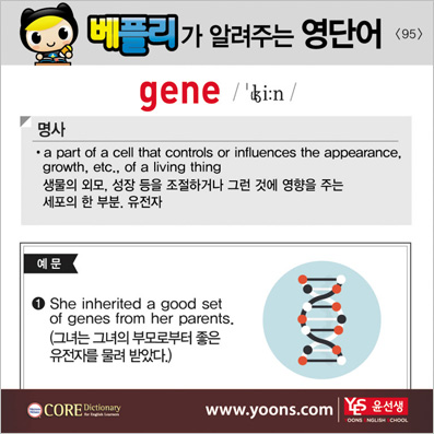 ���ø��� �Բ� �д� ���� ����