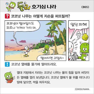 �Ѹ�ȣ��ɳ���