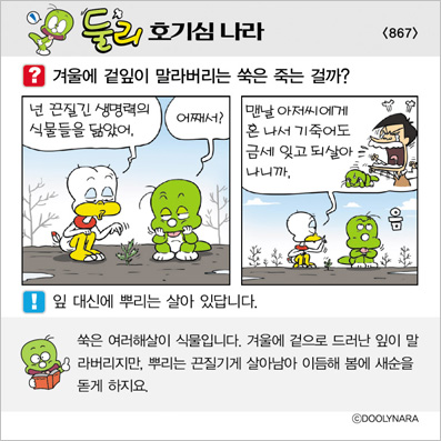 �Ѹ�ȣ��ɳ���