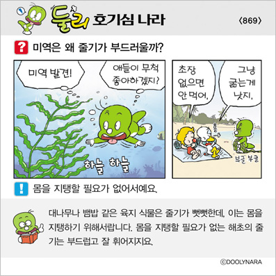 �Ѹ�ȣ��ɳ���