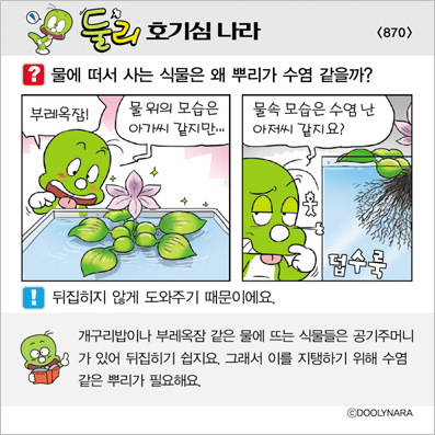 �Ѹ�ȣ��ɳ���