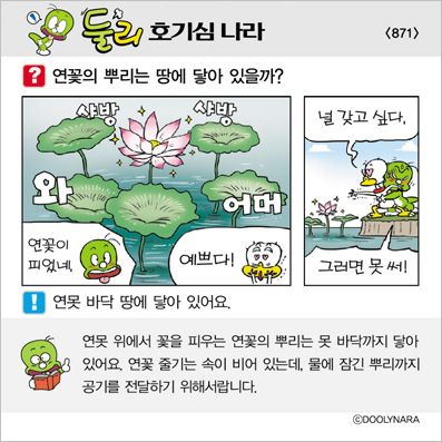 �Ѹ�ȣ��ɳ���