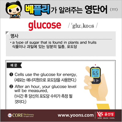 ���ø��� �Բ� �д� ���� ����