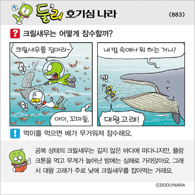 �Ѹ�ȣ��ɳ���