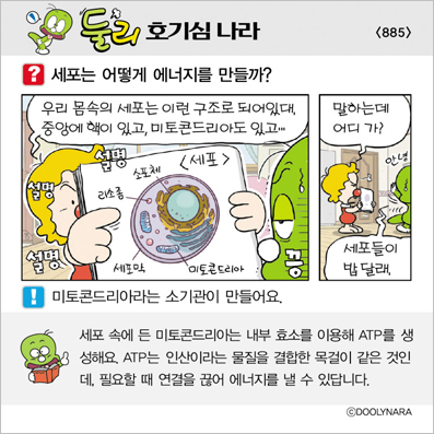 �Ѹ�ȣ��ɳ���