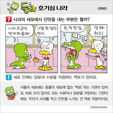 �Ѹ�ȣ��ɳ���