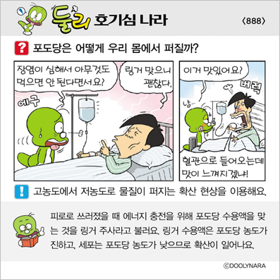 �Ѹ�ȣ��ɳ���