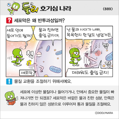 �Ѹ�ȣ��ɳ���