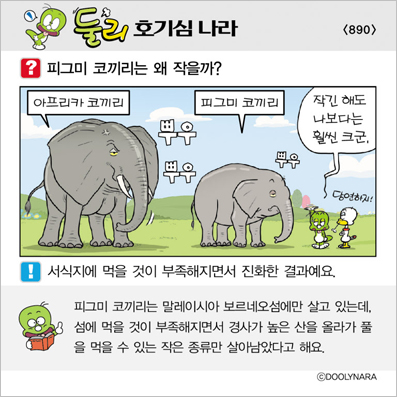 �Ѹ�ȣ��ɳ���