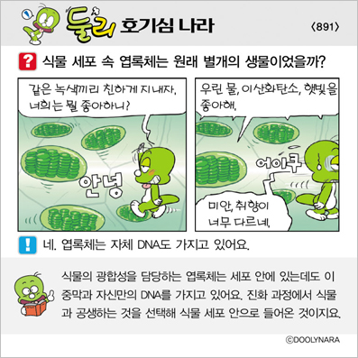 �Ѹ�ȣ��ɳ���