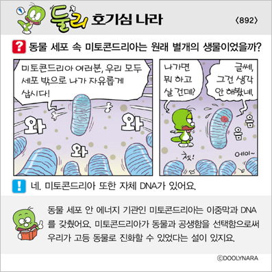 �Ѹ�ȣ��ɳ���