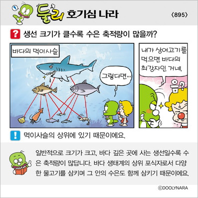 �Ѹ�ȣ��ɳ���