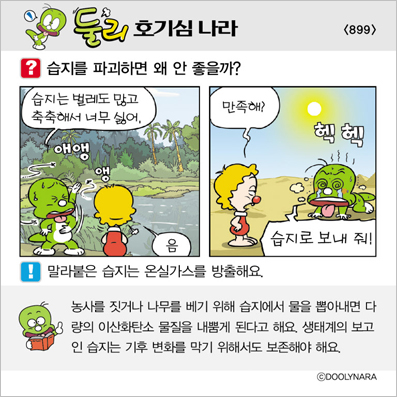 �Ѹ�ȣ��ɳ���