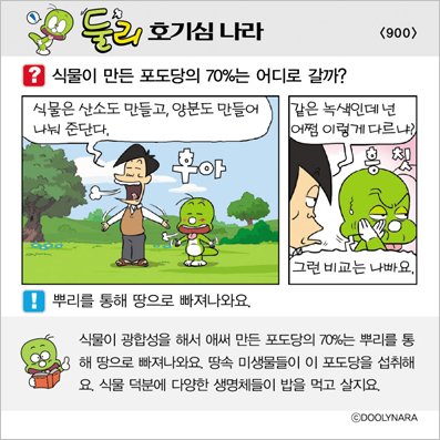 �Ѹ�ȣ��ɳ���