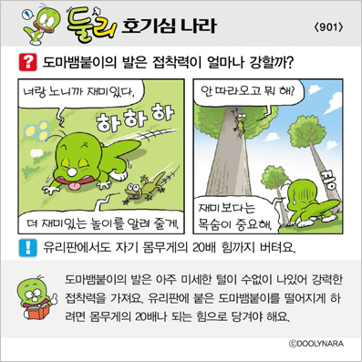 �Ѹ�ȣ��ɳ���