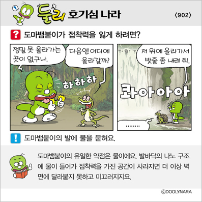 �Ѹ�ȣ��ɳ���