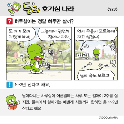 �Ѹ�ȣ��ɳ���