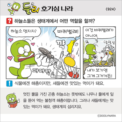 �Ѹ�ȣ��ɳ���