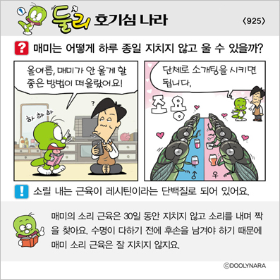 �Ѹ�ȣ��ɳ���