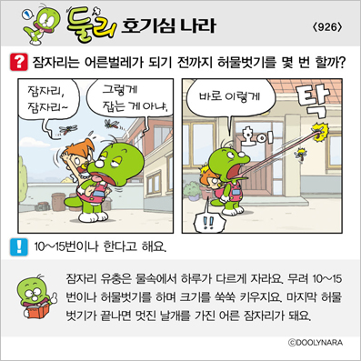 �Ѹ�ȣ��ɳ���