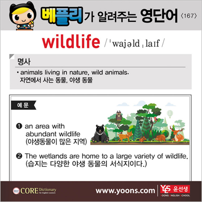 ���ø��� �Բ� �д� ���� ����