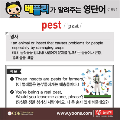 ���ø��� �Բ� �д� ���� ����