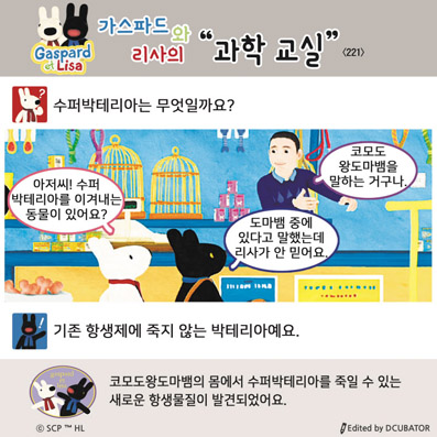 �����ĵ�� ������ ���� ����