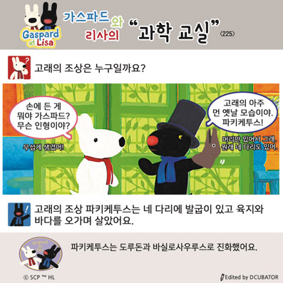 �����ĵ�� ������ ���� ����