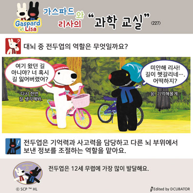 �����ĵ�� ������ ���� ����