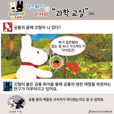 �����ĵ�� ������ ���� ����