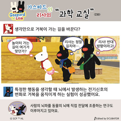 �����ĵ�� ������ ���� ����