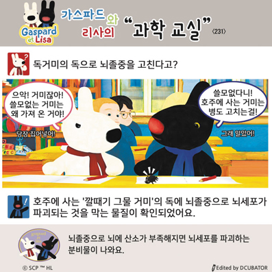 �����ĵ�� ������ ���� ����