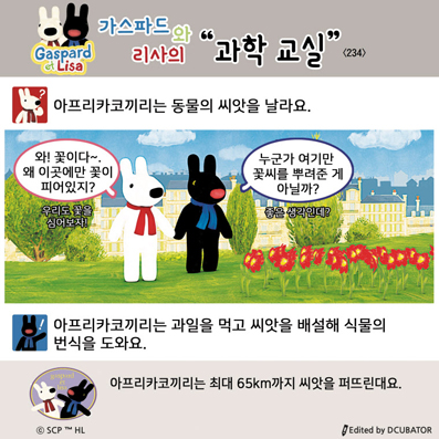 �����ĵ�� ������ ���� ����