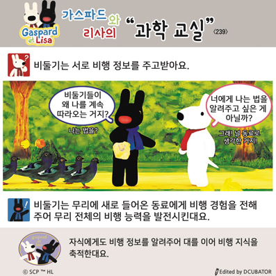 �����ĵ�� ������ ���� ����