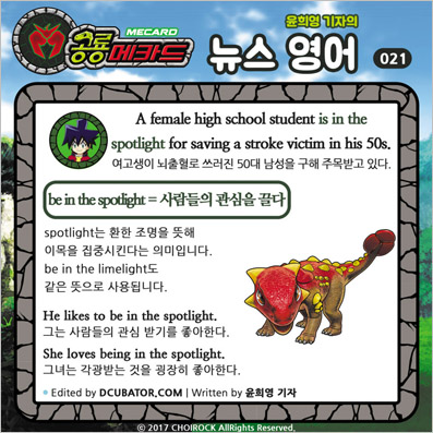 �����ī�� ���� ������ ���� ����