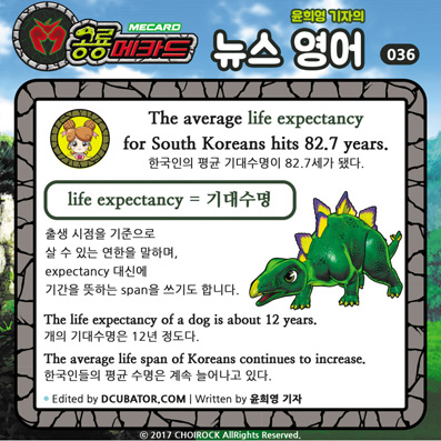 �����ī�� ���� ������ ���� ����