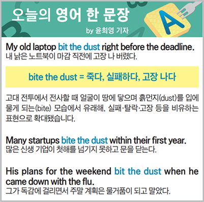 ������ ���� �� ����