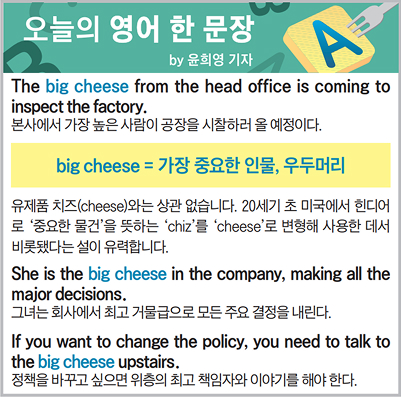 ������ ���� �� ����