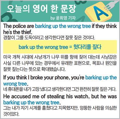 ������ ���� �� ����