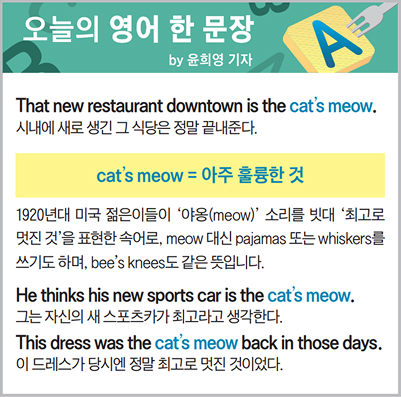 ������ ���� �� ����