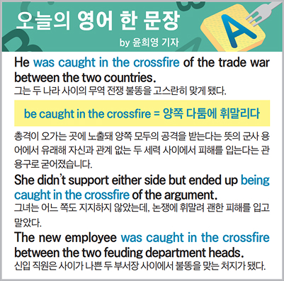 ������ ���� �� ����