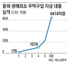 올해 생애최초 주택구입 자금 대출.