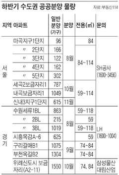 마곡·미사지구… 전세금으로 공공분양 아파트 사볼까