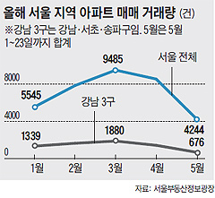 올해 서울 지역 아파트 매매 거래량 변동 그래프