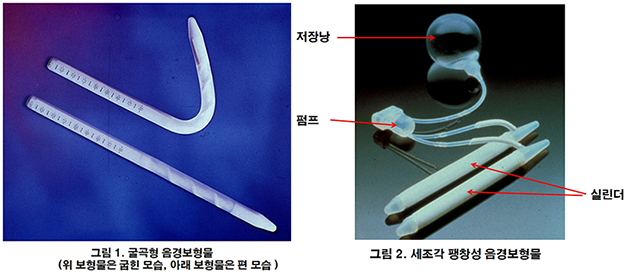 남성'에 뼈가 있는 54세의 신사 - 프리미엄조선