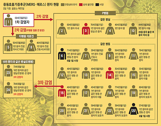 메르스 환자 현황 그래프