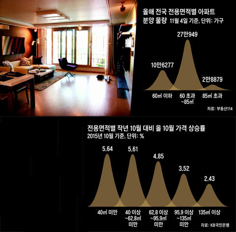 올해 전국 전용면적별 아파트 분양 물량. 전용면적별 작년 10월 대비 올 10월 가격 상승률.