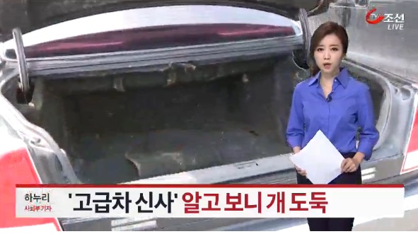 TV조선 캡쳐